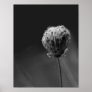 Spinnen mit Wildblume   Matching Spider Lovers Poster