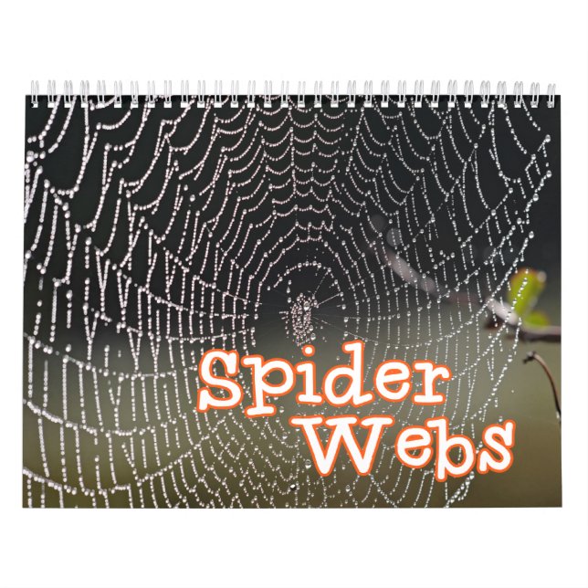 Spinnen-Netz-Wandkalender Kalender (Titelbild)