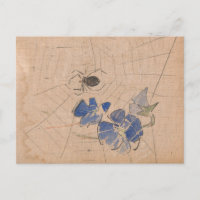 Spinnen und Web mit blauen Blumen | Joseph Crawhal