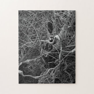 Spinnenei-Sackpuzzlespiel Puzzle