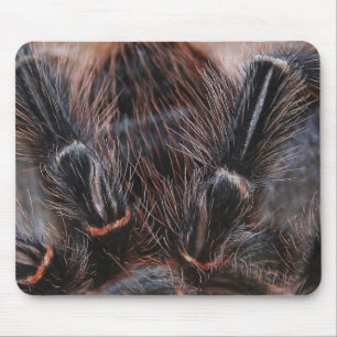 Spinnenhaar Mousepad