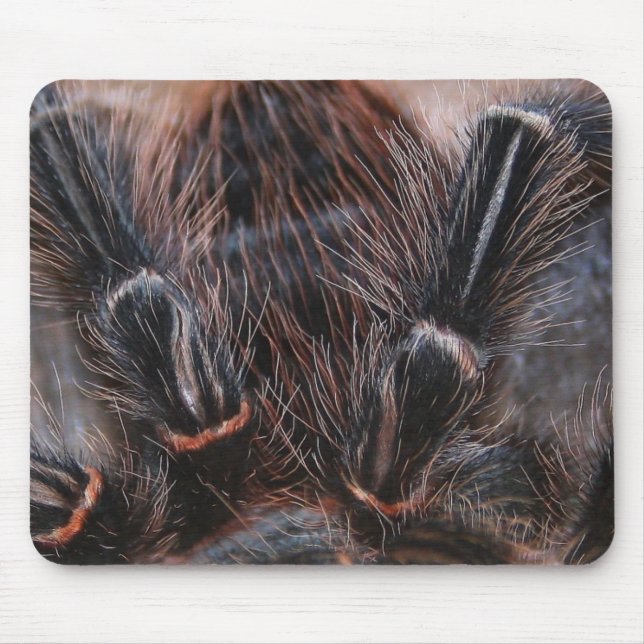 Spinnenhaar Mousepad (Vorne)