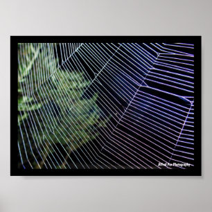 Spinnennetz bei Nacht Poster