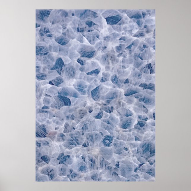 Spinnennetz Poster (Vorne)