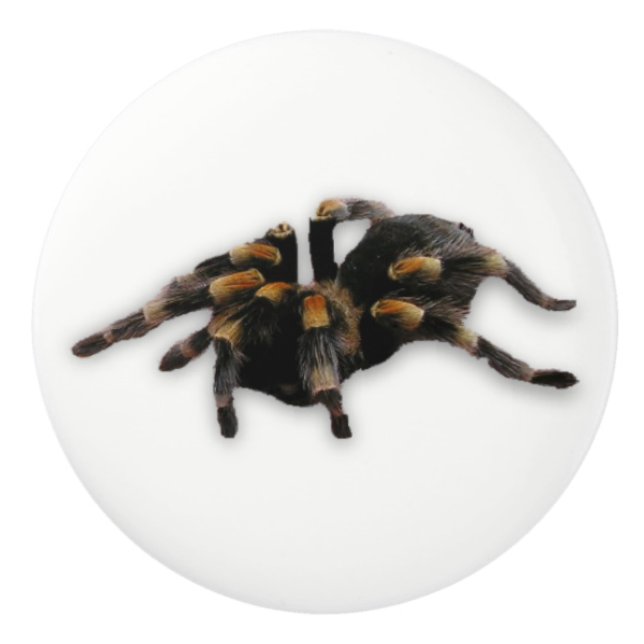 Spinnenzug Keramikknauf (Vorderseite)