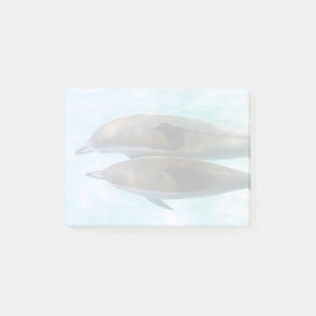 Spinner-Delphine | Oahu Hawaii Post-it Klebezettel (Vorderseite)