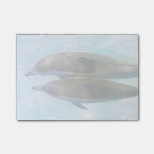 Spinner-Delphine Oahu Hawaii Post-it Klebezettel