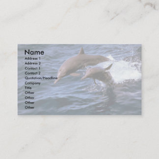 Spinnerdelphin Visitenkarte