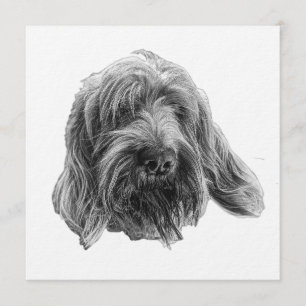 Spinone-Abendessen-Einladung Einladung
