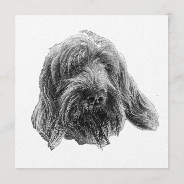 Spinone-Abendessen-Einladung Einladung (Vorderseite)