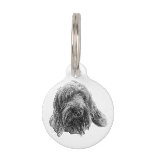 Spinone-Feldspaziergänger Haustiermarke