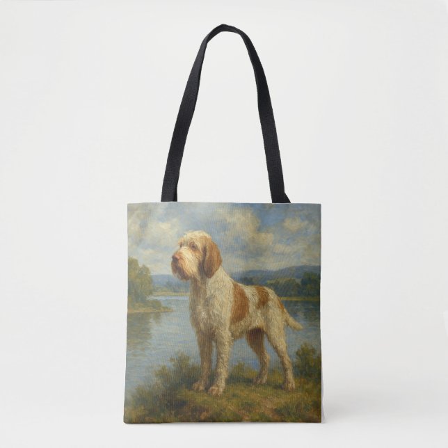 Spinone Italiano (Vorderseite)