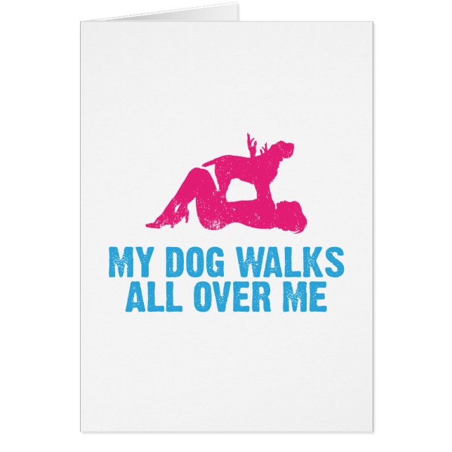 Spinone Italiano (Vorne)