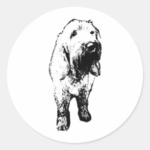 Spinone Italiano Aufkleber – Mutiger stehender Hun