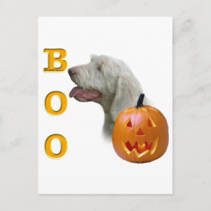 Spinone Italiano Boo Postkarte