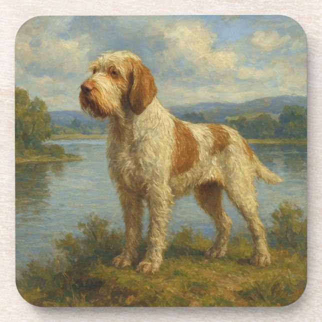Spinone Italiano Getränkeuntersetzer (Vorderseite)