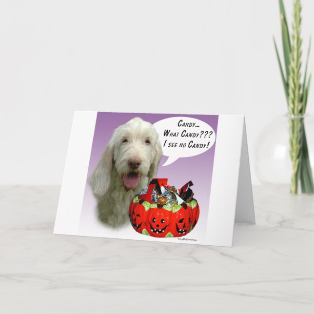 Spinone Italiano Halloween Candy Karte (Vorderseite)