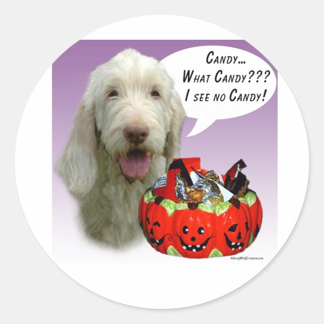 Spinone Italiano Halloween Candy Runder Aufkleber (Vorderseite)