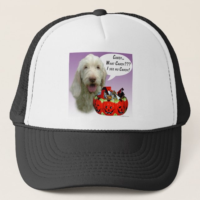 Spinone Italiano Halloween Candy Truckerkappe (Vorderseite)