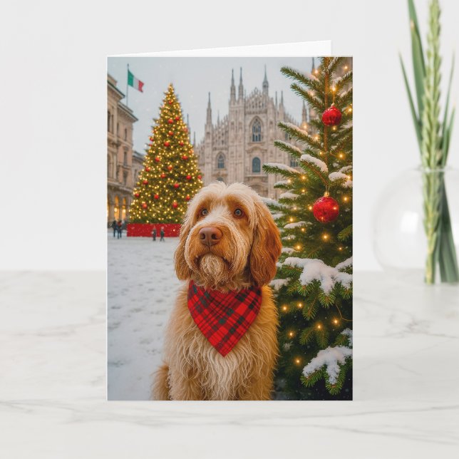 Spinone Italiano Holiday Card Feiertagskarte (Vorderseite)