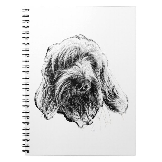 Spinone Italiano-Hunde-Notizbuch Notizblock (Vorderseite)