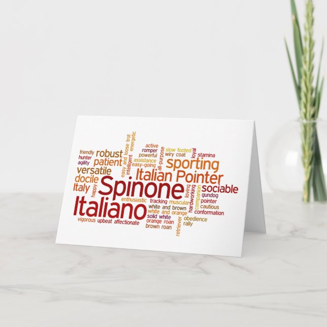 Spinone Italiano Karte (Vorderseite)