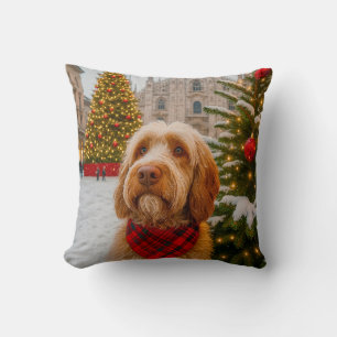 Spinone Italiano Kissen