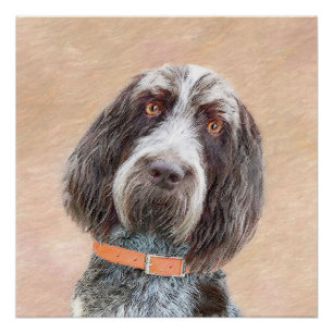 Spinone Italiano Malerei - Niedliche Original Dog Poster