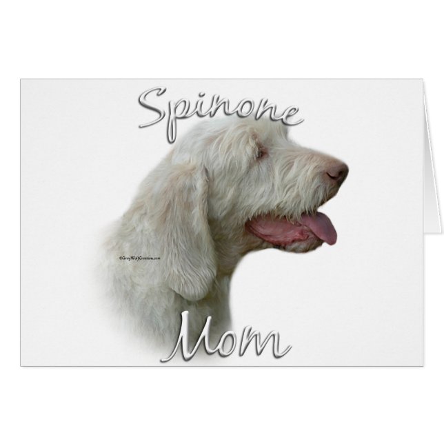 Spinone Italiano Mama 2 (Vorderseite (Horizontal))