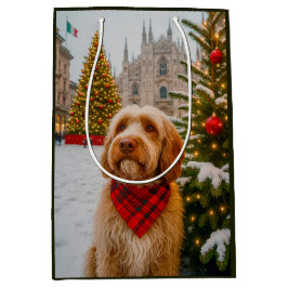 Spinone Italiano  Mittlere Geschenktüte