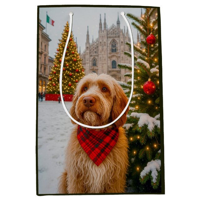 Spinone Italiano  Mittlere Geschenktüte (Vorderseite)
