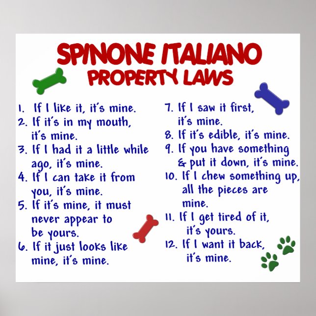 SPINONE ITALIANO PL2 POSTER (Vorne)