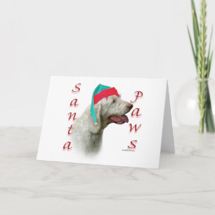 Spinone Italiano Santa Paws Feiertagskarte