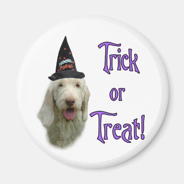Spinone Italiano Trick Magnet (Vorne)