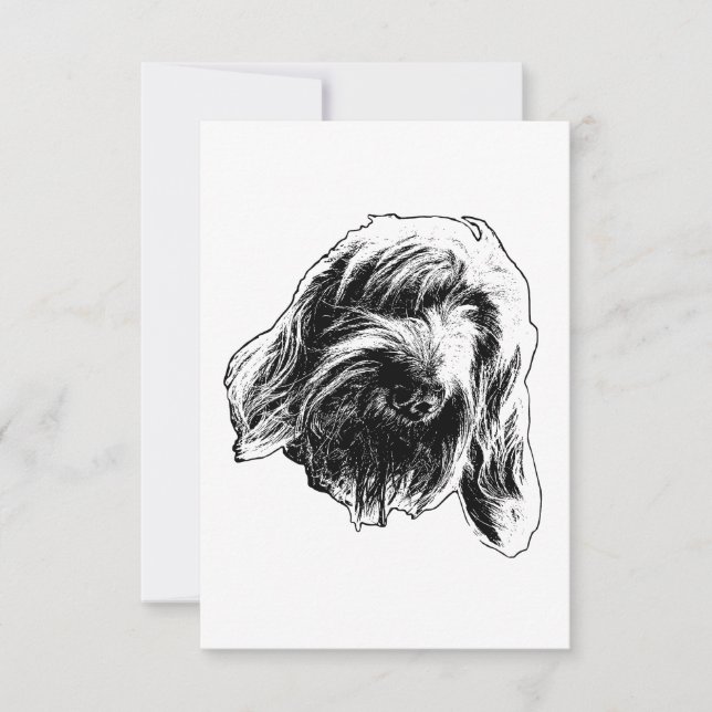 Spinone sanfte Dankbarkeit Dankeskarte (Vorderseite)