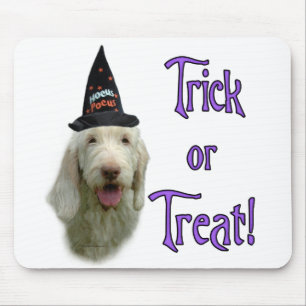 Spinone Trick Mousepad
