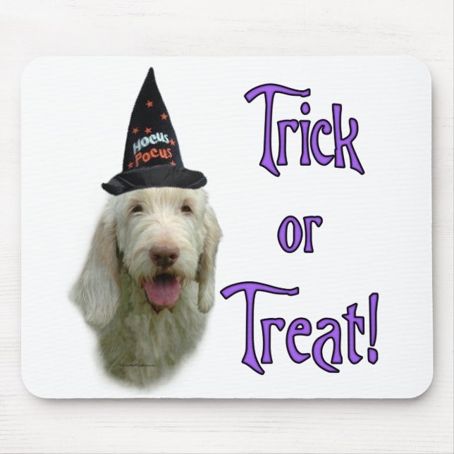 Spinone Trick Mousepad (Vorne)