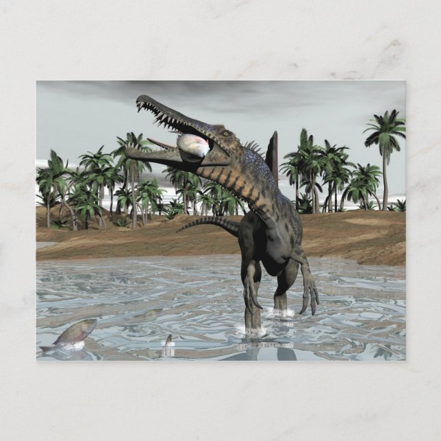 Spinosaurus dinosaurier fressen Fisch - 3D rendern Postkarte (Vorderseite)