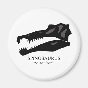 Spinosaurus Skull Magnet