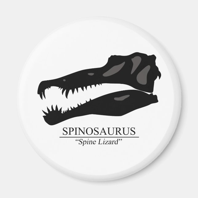 Spinosaurus Skull Magnet (Vorne)