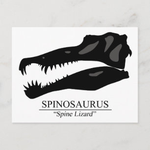 Spinosaurus Skull Postkarte