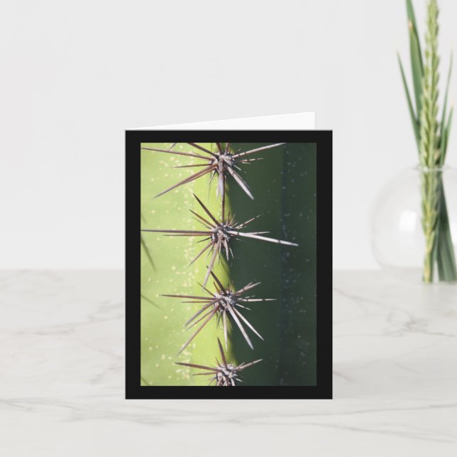 Spiny Cactus Closeup Vertikaler Sticker Karte (Vorderseite)