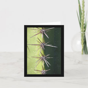 Spiny Cactus Closeup Vertikaler Sticker Karte