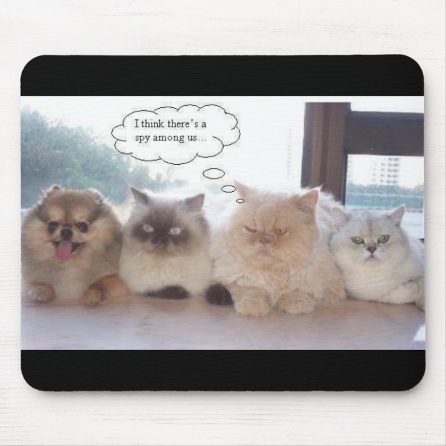 Spion Mousepad (Vorne)