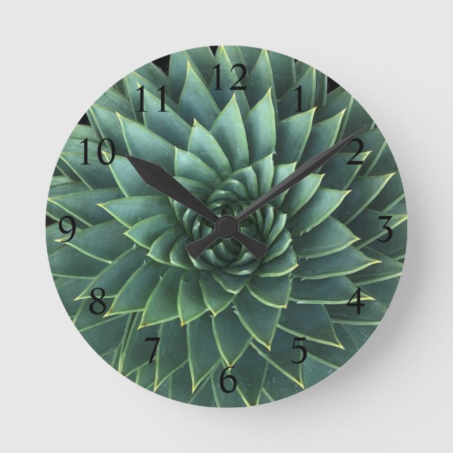 Spiral Aloe Polyphylla Sukkulent Runde Wanduhr (Vorderseite)