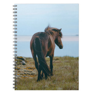 Spiral Foto Notebook - Landschaftliches Pferd Notizblock