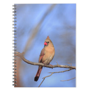 Spiral-Foto-Notebook mit weiblicher Nord-Cardina Notizblock