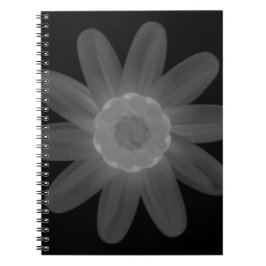 Spiral-Foto-Notebook Notizblock