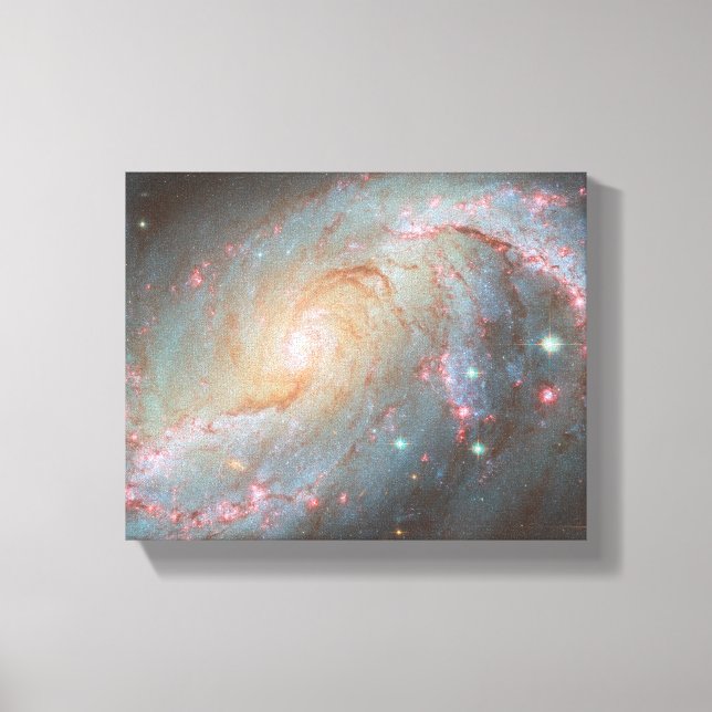 Spiral Galaxy NGC 1672 Leinwanddruck (Vorderseite)