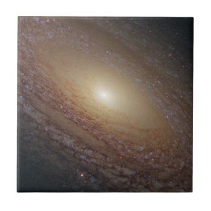 Spiral Galaxy Ngc 2841 Fliese